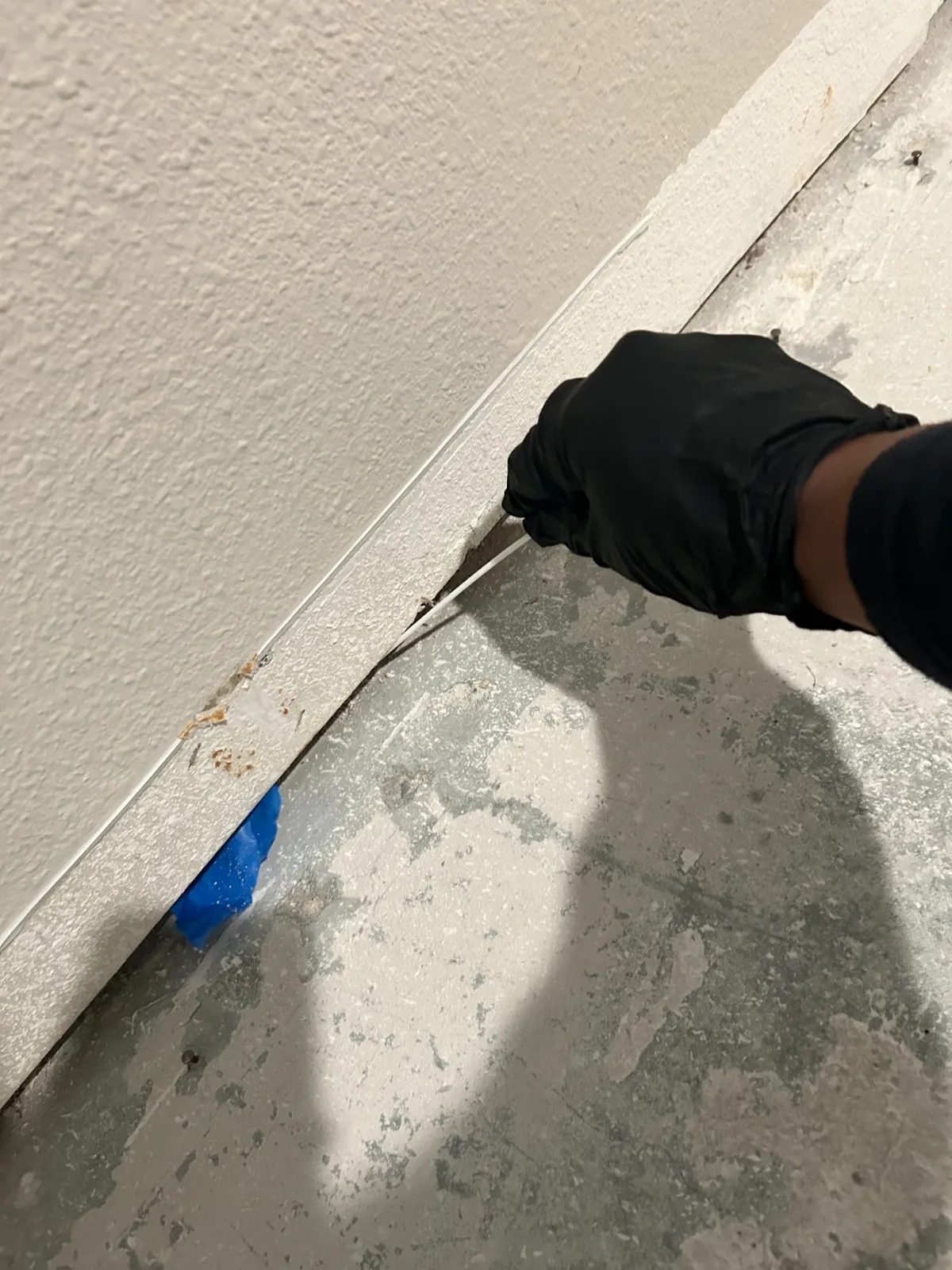 Inspector checking mold under wall corners