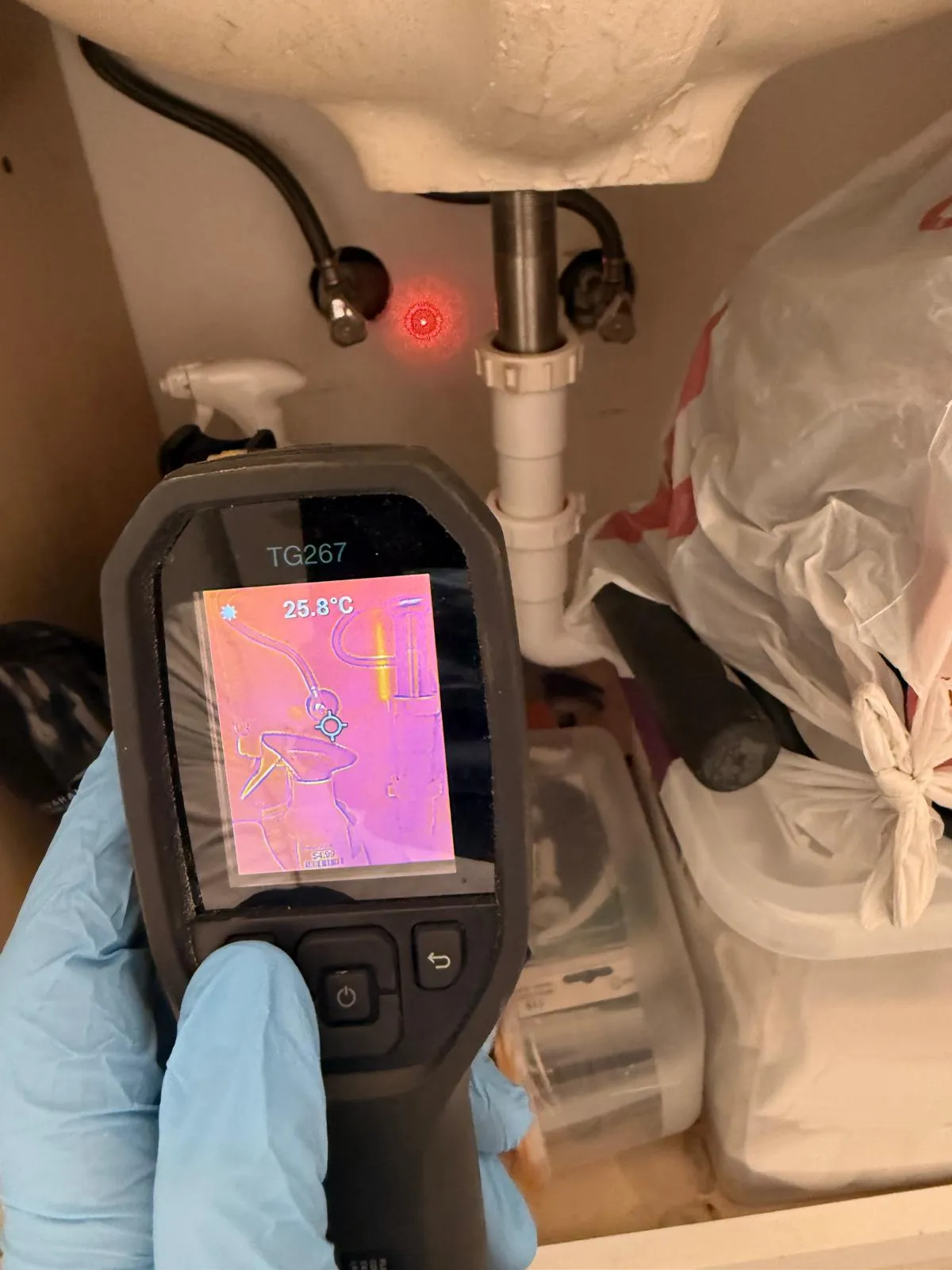 Inspector using a laser tool to assess mold and moisture levels