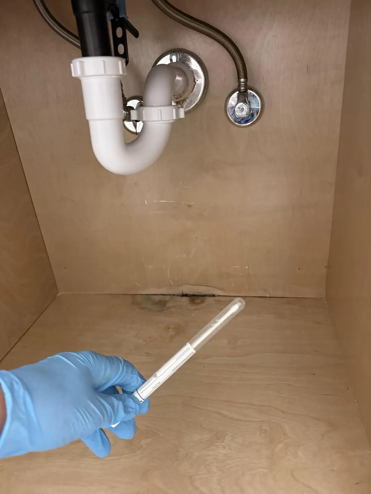 Technician using a professional mold testing device