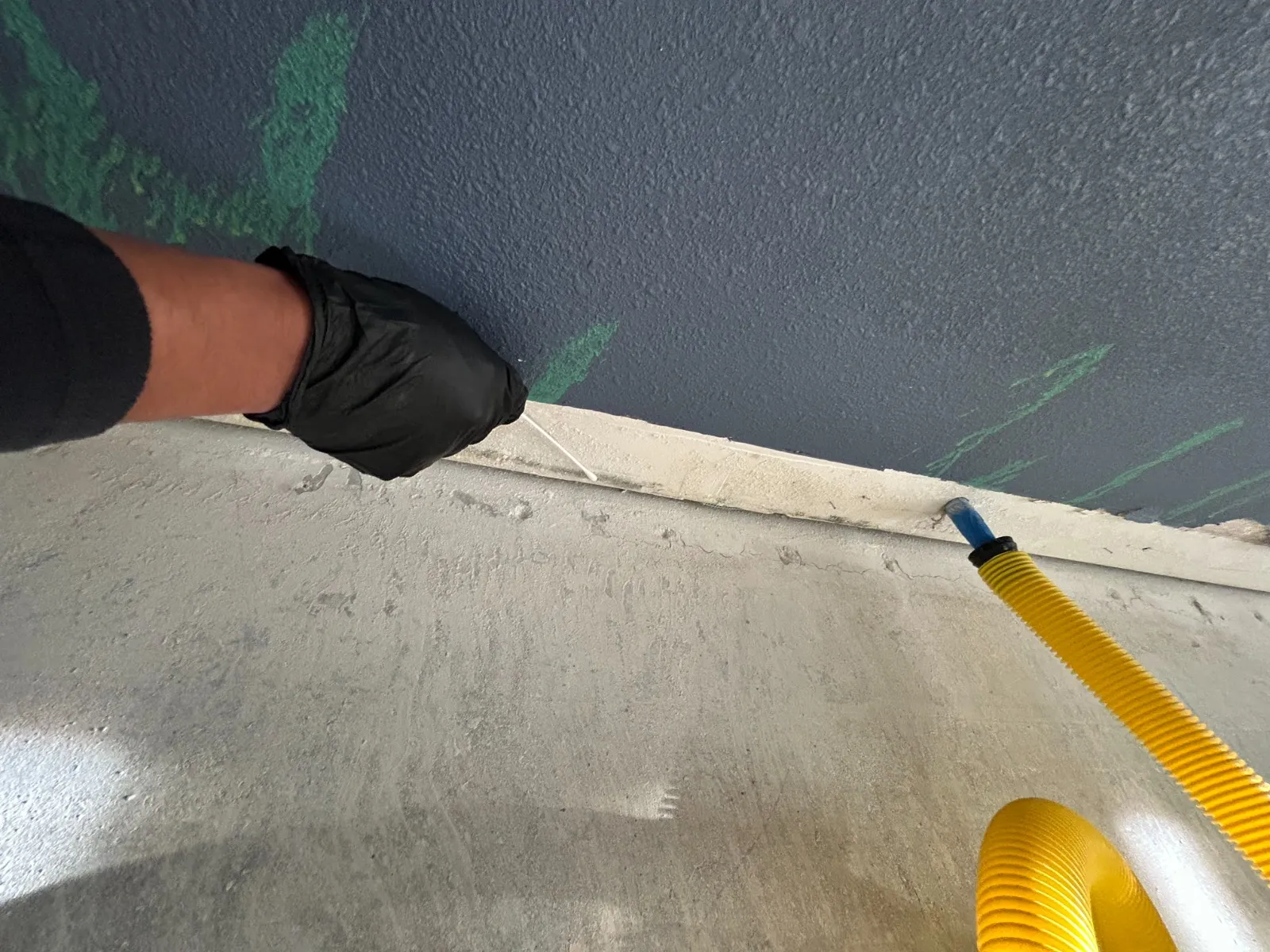 Mold growth spreading across an interior wall
